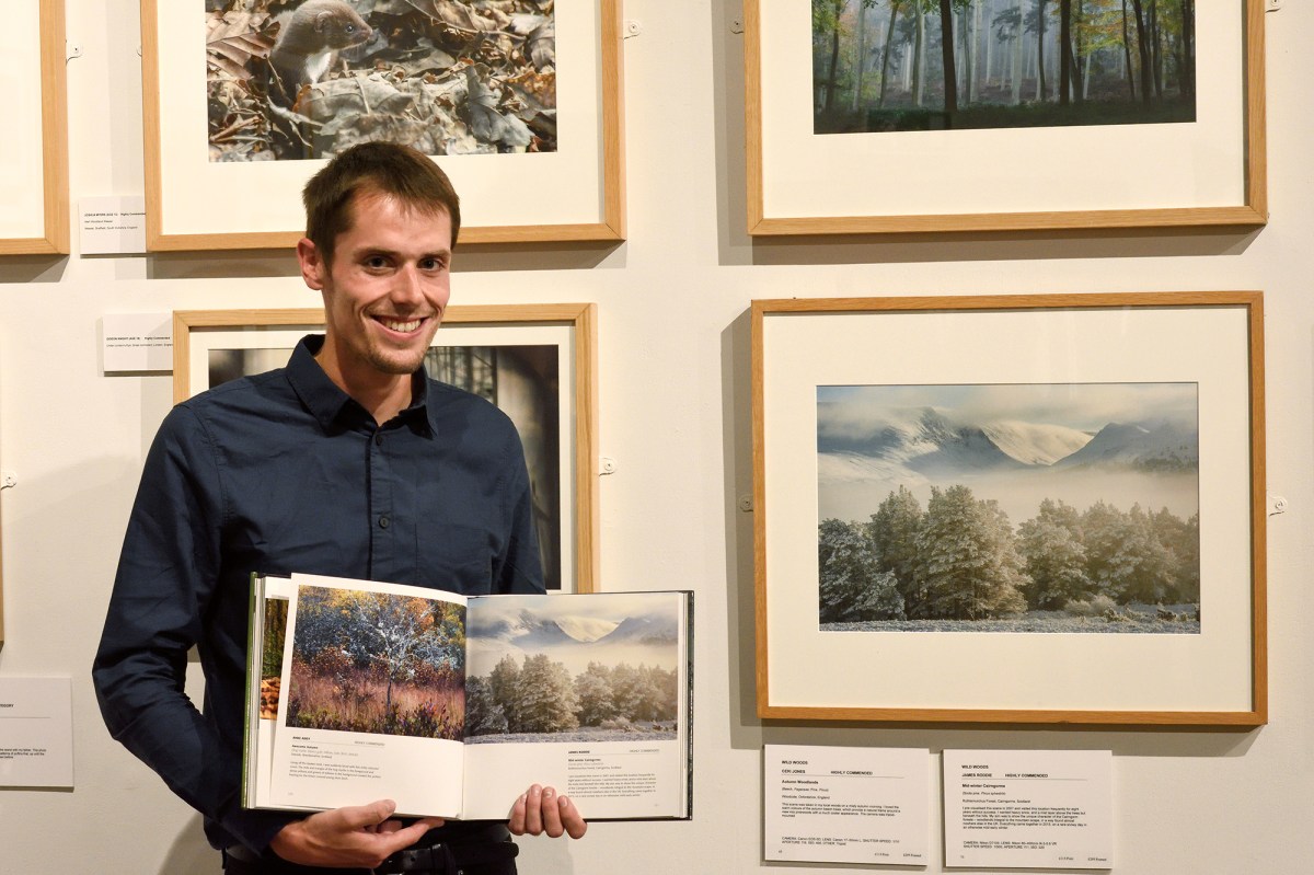 The British Wildlife Photography Awards 2016 – JAMES RODDIE PHOTOGRAPHY