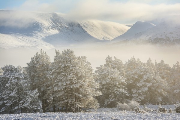 The British Wildlife Photography Awards 2016 – JAMES RODDIE PHOTOGRAPHY
